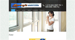 Desktop Screenshot of larryswindowcleaning.com